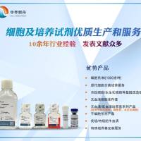 人白细胞介素31(IL-31)ELISA检测试剂盒