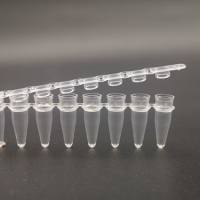 硕华 714010 PCR8联排盖，透明