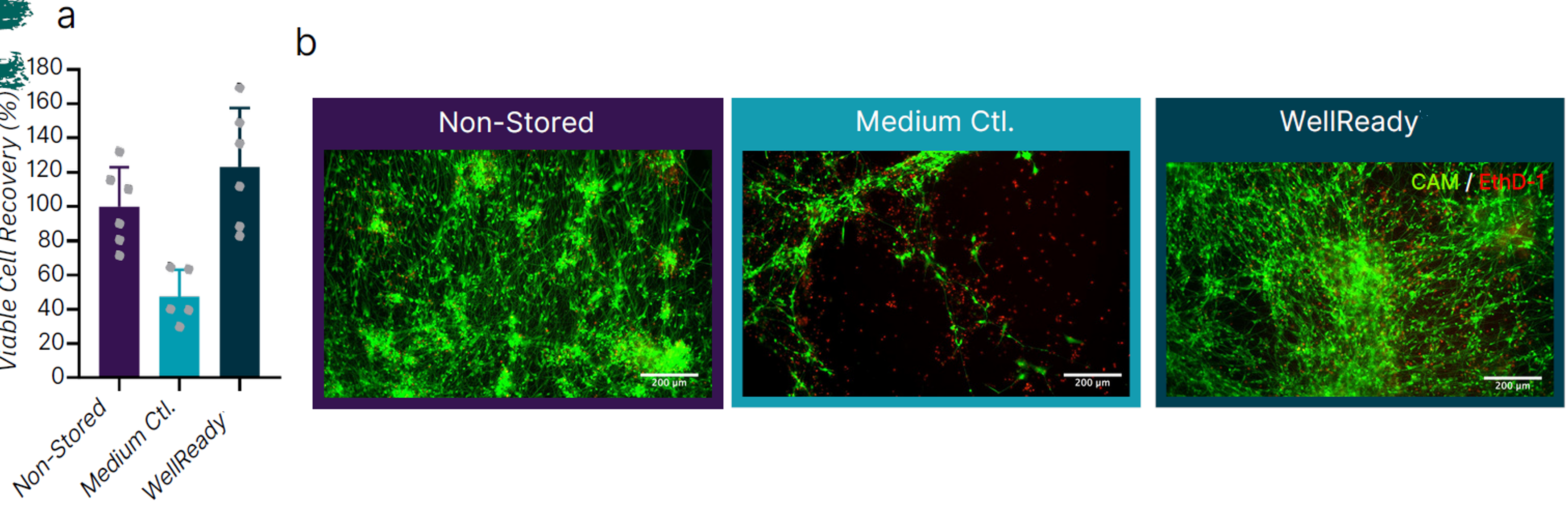 【新品】英国Atelerix，助力新鲜样本常温保存和运输长达2周！