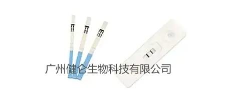 人绒毛膜促性腺激素(hCG)检测试剂盒
