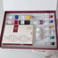 Gyrodactylus salaris三代虫探针法荧光定量PCR试剂盒