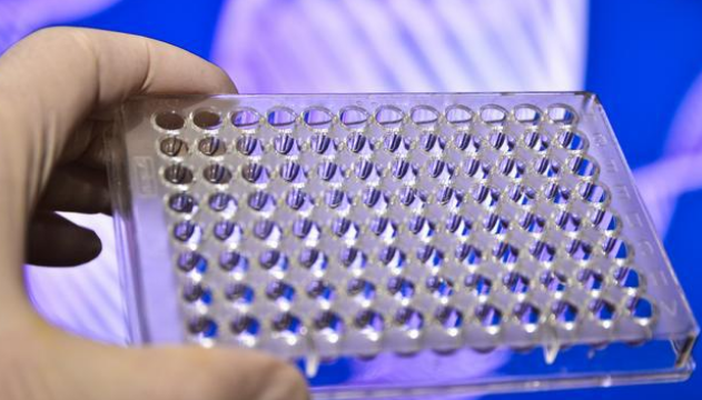 酶联免疫吸附试验（ELISA）试验洗涤技术​优化事项