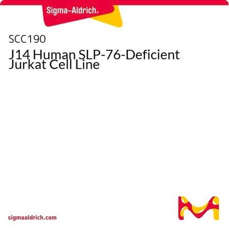  默克Merck J14 Human SLP-76-Deficient Jurkat Cell Line