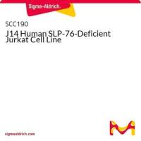  默克Merck J14 Human SLP-76-Deficient Jurkat Cell Line