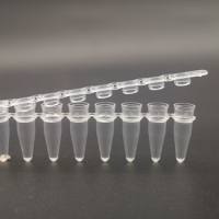 硕华 712210  0.2ml，PCR8联排套装 ，平盖，透明