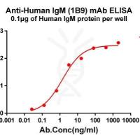 PE-标记，抗CEACAM5 (labetuzumab生物类似药) mAb