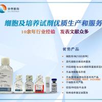 大鼠白细胞介素1(IL-1)ELISA检测试剂盒