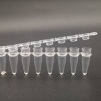 硕华 713200  0.2ml，PCR8联排管，透明