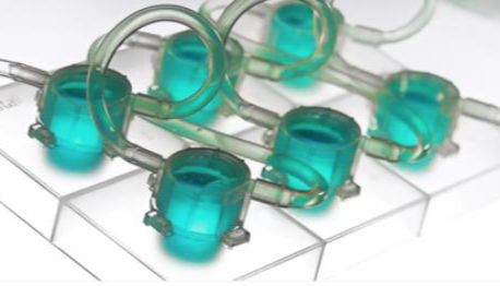 英国Kirkstall 3D活细胞自动灌流培养系统近期应用