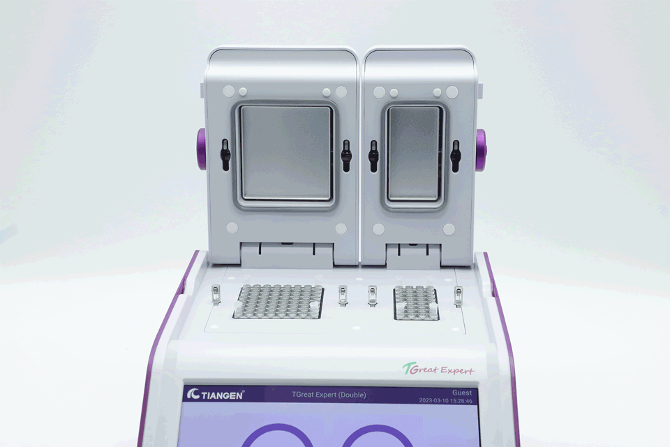 TGreat Expert （双槽）梯度PCR仪