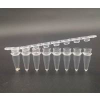 硕华 711210  0.2ml，PCR单管 ，平盖，透明