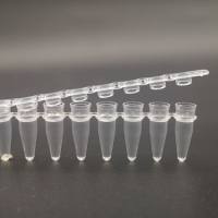 硕华 714000S 0.1-0.2ml PCR八联管盖，平盖，透明