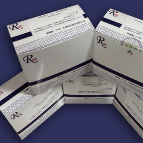 胃蛋白酶原I/胃蛋白酶原II（PGⅠ/PGⅡ）联检试剂（荧光免疫层析法）