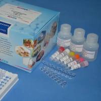 植物交替氧化酶(AOX)ELISA试剂盒