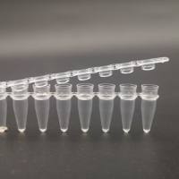 硕华 713100S 0.1ml PCR八联管，透明