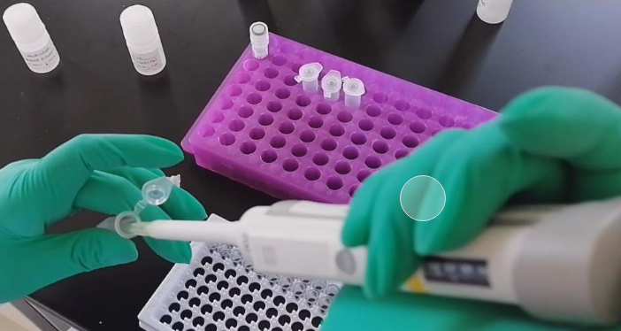 ​ELISA试验移液技术详细探讨