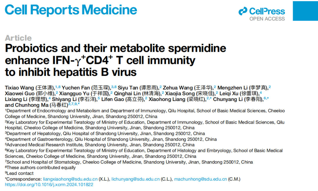 Cell子刊 | 山东大学马春红、梁晓红教授团队揭示肠道微生物的力量：益生菌和亚精胺联合作战对抗乙型肝炎