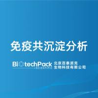 免疫共沉淀分析-百泰派克生物科技