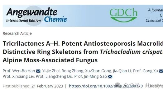 IF=16.1丨基于斑马鱼揭示高山苔藓相关真菌中的强效抗骨质疏松大环内酯TricrilactonesA−H