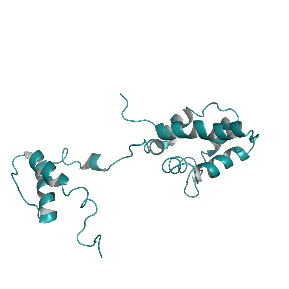 Recombinant human MANF (His Tag) protein