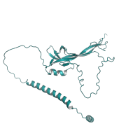 Recombinant human NT-3 protein