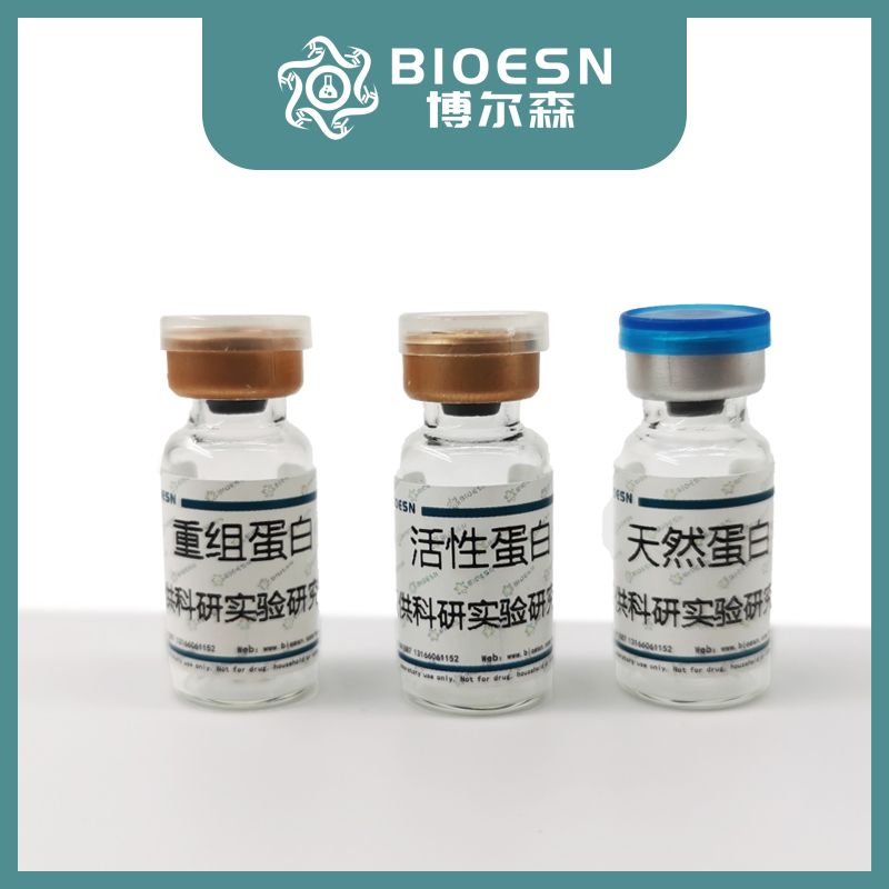 重组人因子IX蛋白(His Tag）