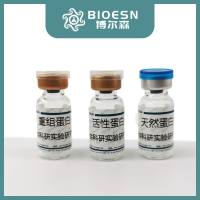 重组人因子IX蛋白(His Tag)