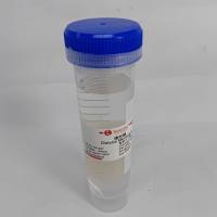 YA1047 即用型透析袋 扁宽38 截留分子量1000 耗材 索莱宝