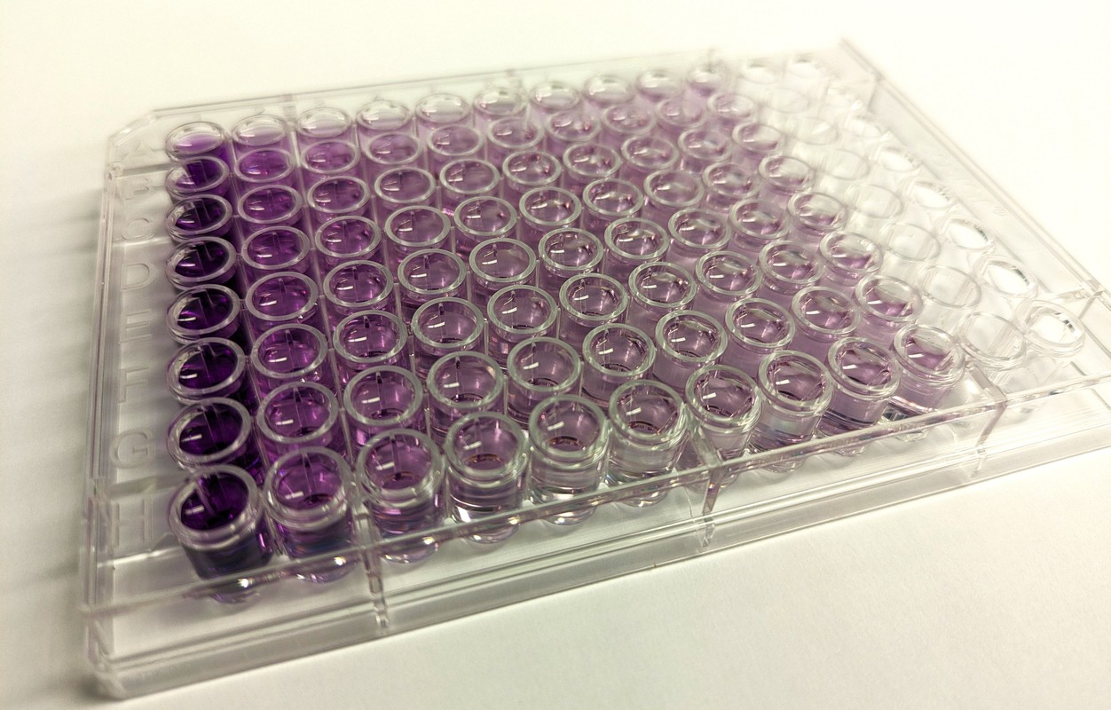 Mini BCA Protein Assay Kit