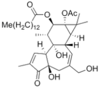 Phorbol 12-myristate 13-acetate (PMA)
