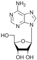 Adenosine