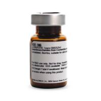 脂多糖 来源于大肠杆菌 0111:B4 L4391