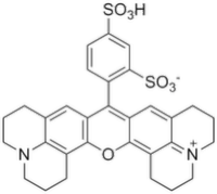 Sulforhodamine 101 (SR101)