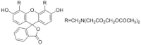 Calcein-AM