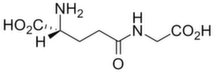 gamma-DGG / y DGG (y-D-glutamylglycine)