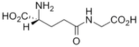 gamma-DGG / y DGG (y-D-glutamylglycine)