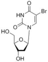 BrdU (5-Bromo-2'-deoxyuridine)