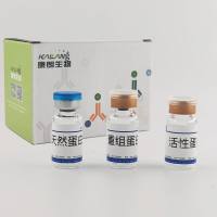 重组人因子IX蛋白(His Tag)