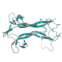 Recombinant human BDNF (HEK expressed) protein