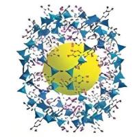 ZIF-8金属有机骨架包裹大黄素（PHY）