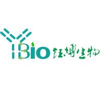 重组人因子IX蛋白(His Tag)