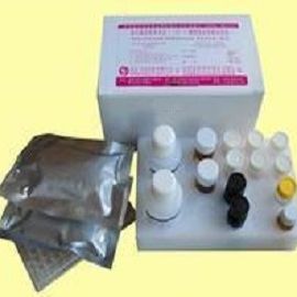 猪流行性腹泻病毒抗体检测试剂盒