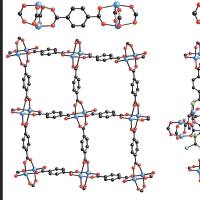 γ-环糊精-金属有机框架(γ-CD-MOF)包裹百里香酚