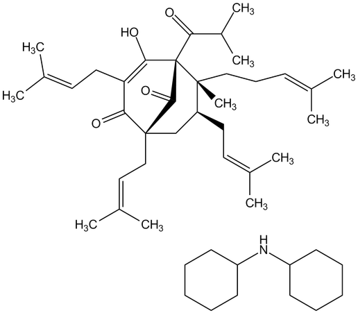 Hyperforin dicyclohexylammonium
