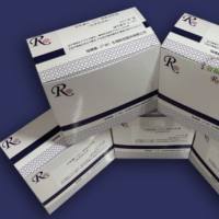 DNA重亚硫酸盐转化试剂盒(磁珠法)