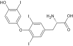T3 (triiodothyronine)