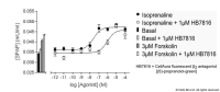 CA200693 CellAura fluorescent  β<sub>2</sub> antagonist [(S)-propranolol-green]