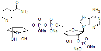 NADPH tetrasodium salt (reduced form)