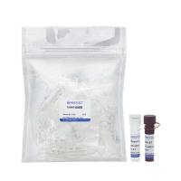 外泌体绿色荧光标记试剂盒（PKH67）