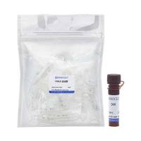 外泌体荧光染料(DiR)